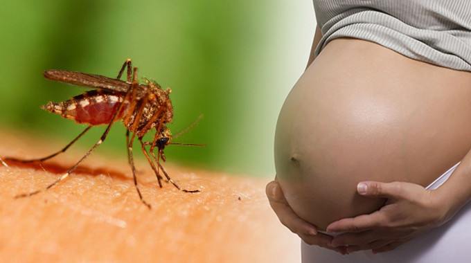 zika-and-pregnancy